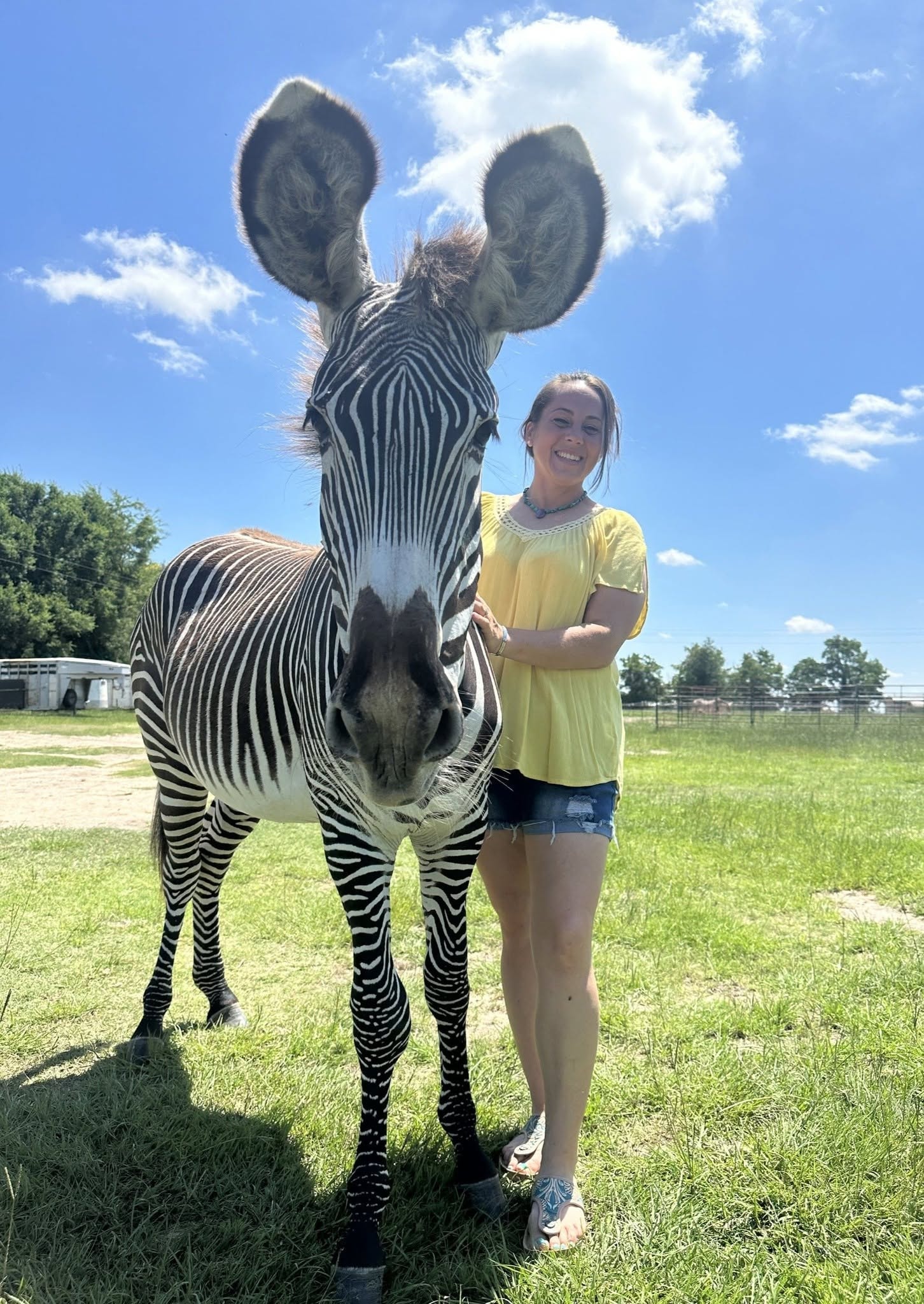 Dominique Ferraro with a Grevy's zebra at Zebras R Us